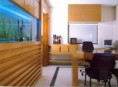 /album/aquarios%20na%20decora%c3%a7%c3%a3o/aquario-de-escritorio-jpg/